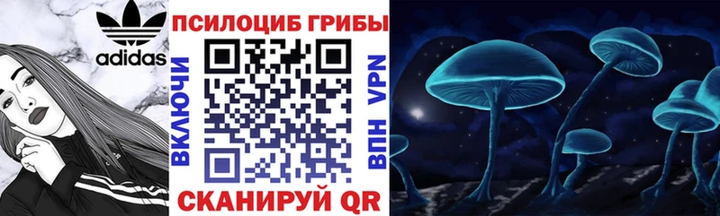 Псилоцибиновые грибы MAGIC MUSHROOMS  Ипатово 